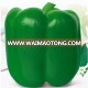 Blocky/Square Sweet Pepper/Capsicum Seeds Da Sheng