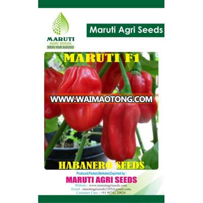 PRICE FOR HABENARO HOT PEPPER SEEDS