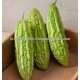 PRICE FOR BITTERGOURD SEEDS SHIVAM OP