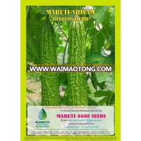 BITTERGOURD SEED MARUTI ABHISHEK F1 HY FOR SOWING