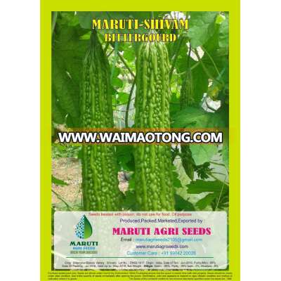 COST OF MARUTI BITTERGOURD SEEDS RUDHRA F1 HY