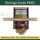 Bulk Moringa Seeds for Cultivation